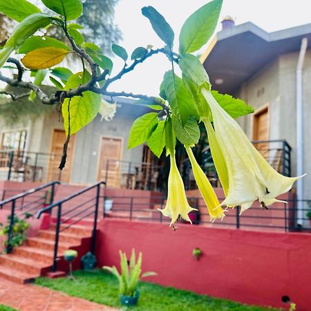 Babylon Lodge Marangu المظهر الخارجي الصورة