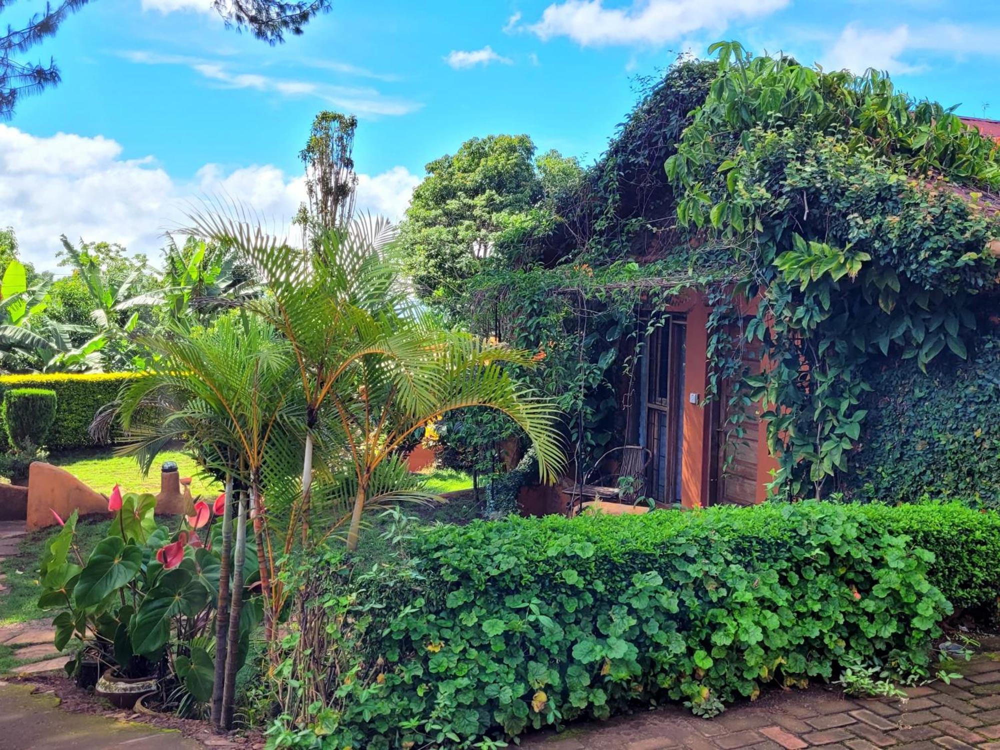 Babylon Lodge Marangu المظهر الخارجي الصورة