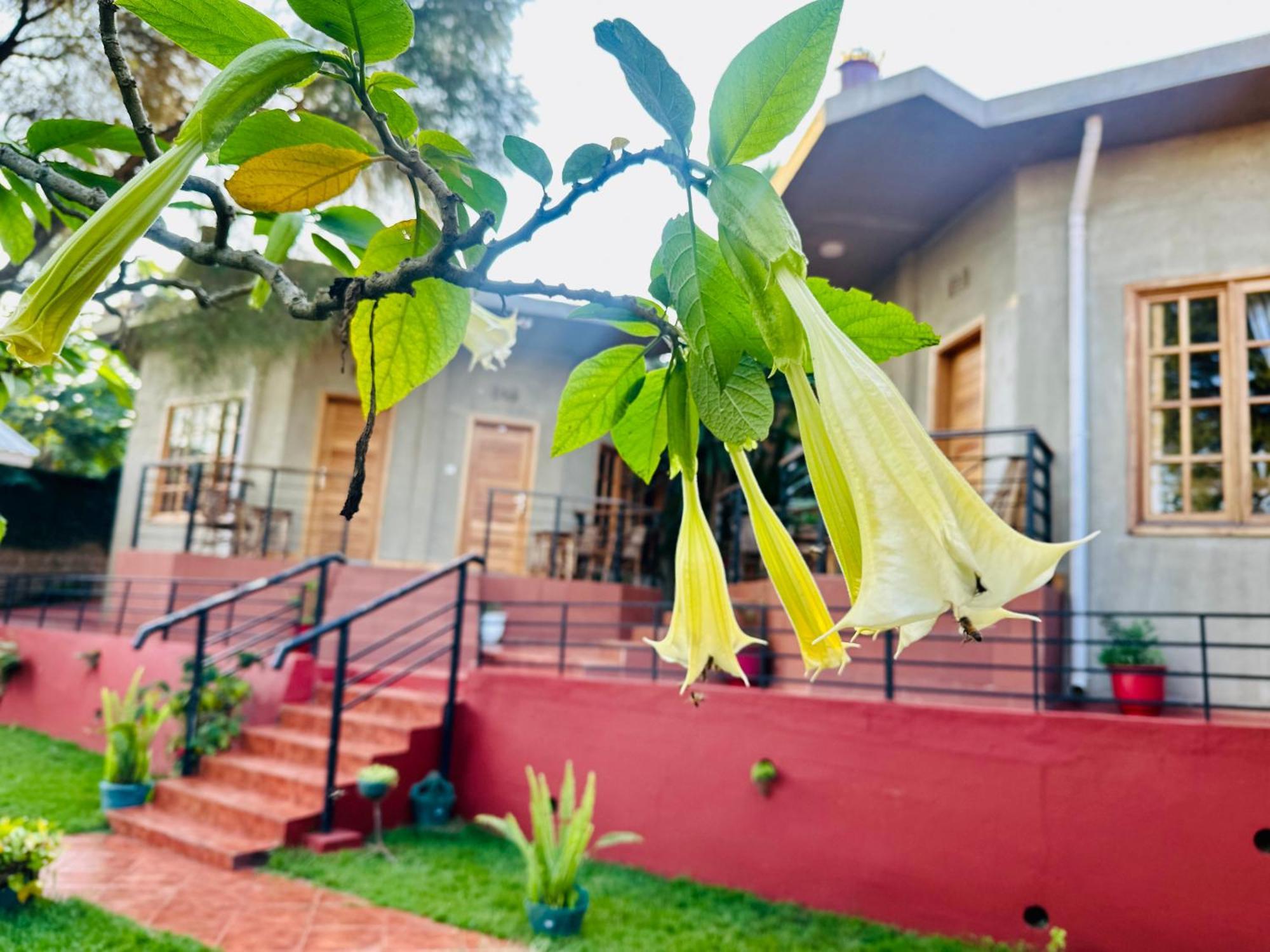 Babylon Lodge Marangu المظهر الخارجي الصورة